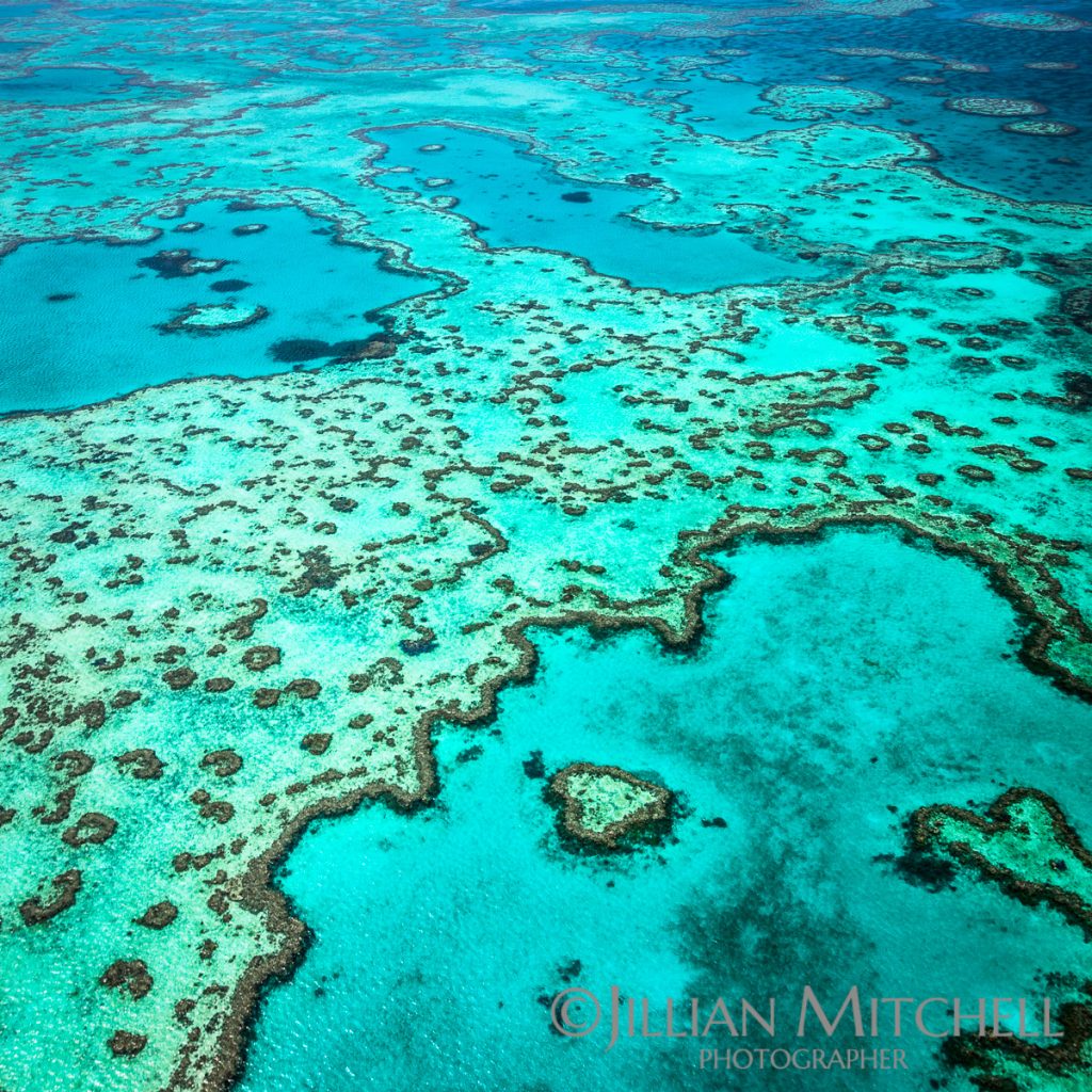Heart Reef - Great Barrier Reef Views