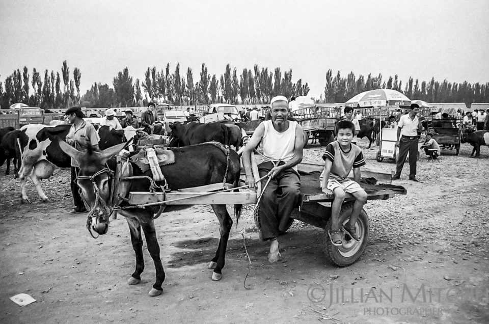 The fascinating Turpan animal market, where livestock is traded each week, is an excellent way to get a peek into the Xinjiang life.