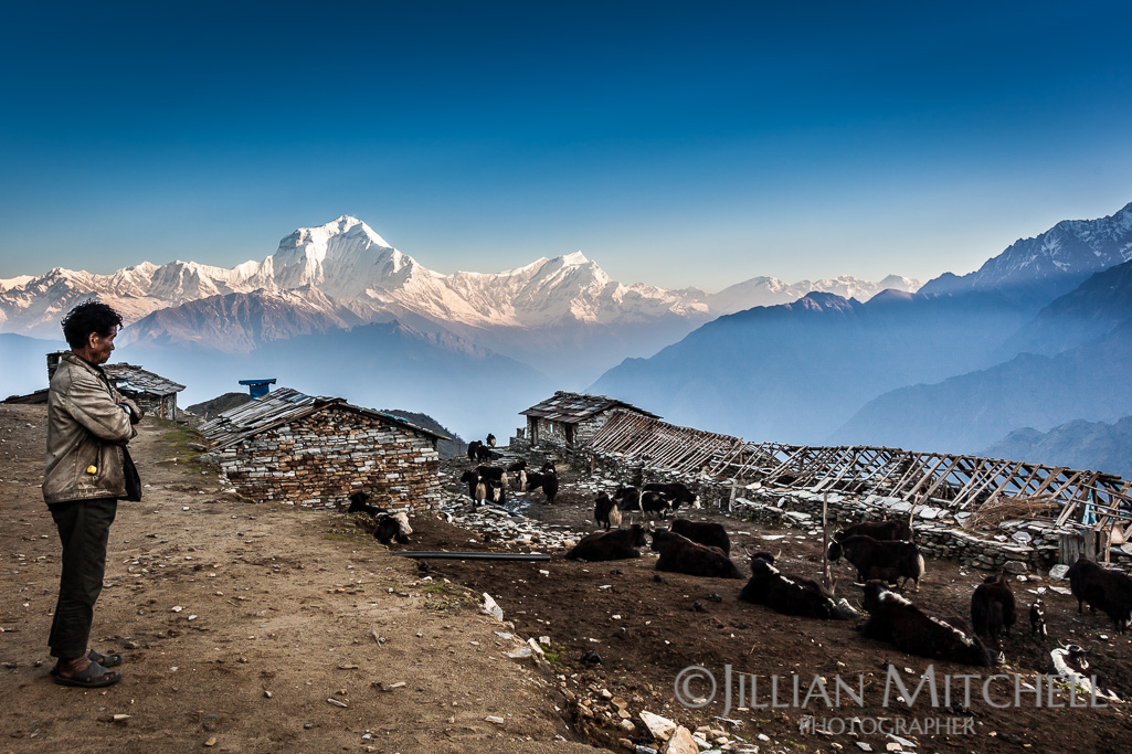 Dhaulagiri Range Views from Khopra Ridge, Annapurna, Nepal