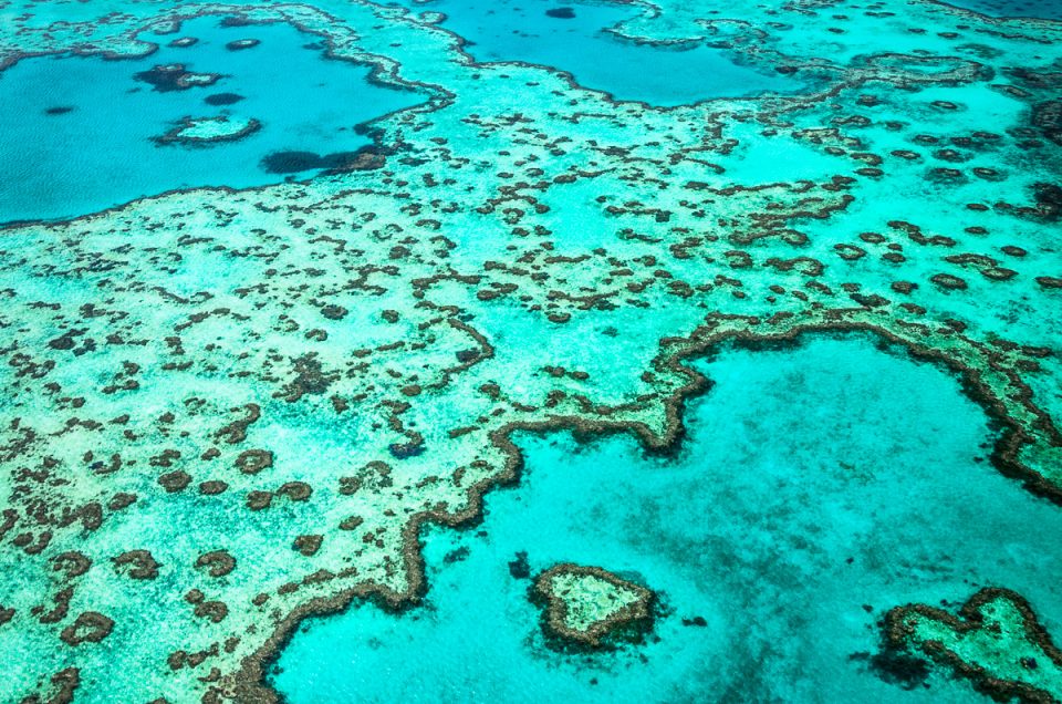 Heart Reef - Great Barrier Reef Views