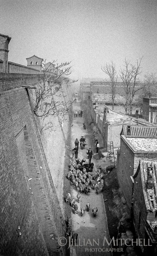 Views from the old city wall in fabulous old Pingyao, China.