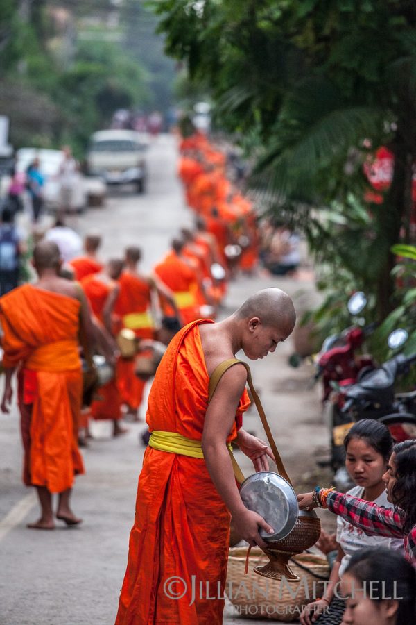 Each morning in Luang Prabang, Laos Buddhist monks carry out the morning alms procession.