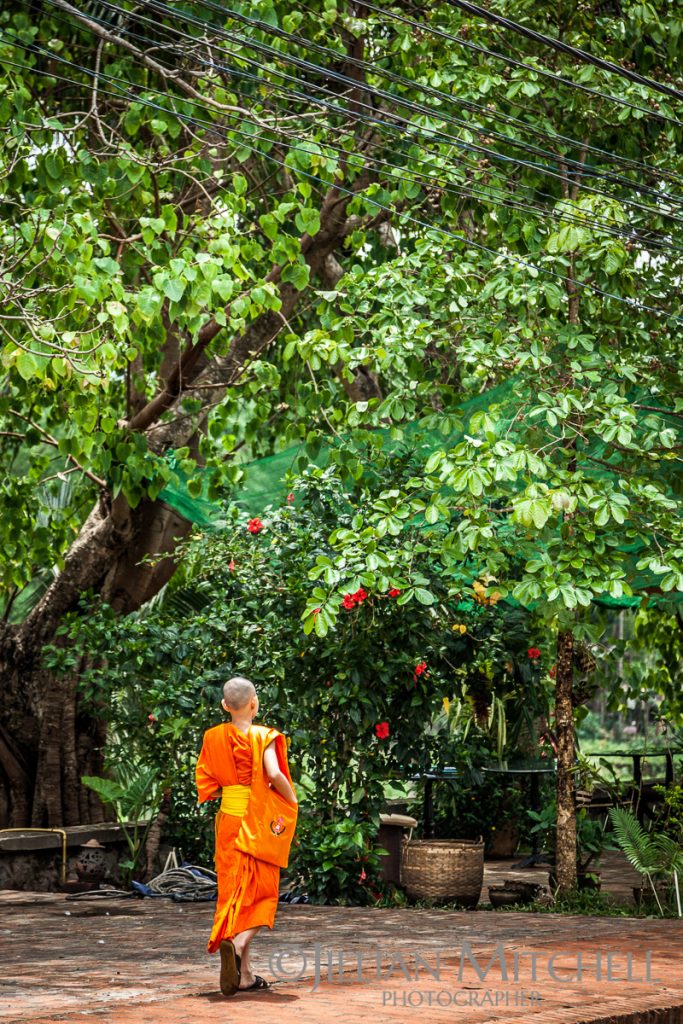 A monk strolling along the lush streets of Luang Prabang, Laos.