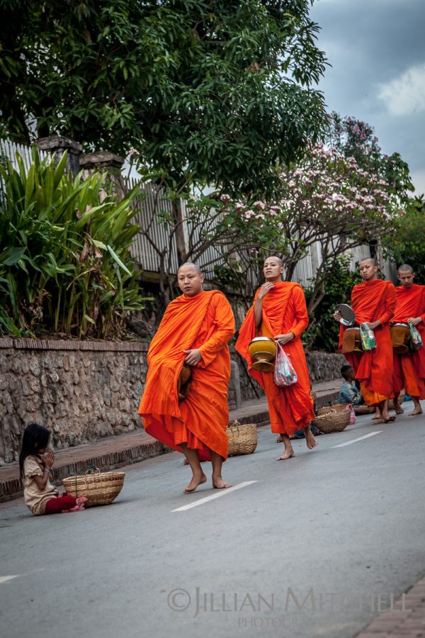 Each morning in Luang Prabang, Laos Buddhist monks carry out the morning alms procession.
