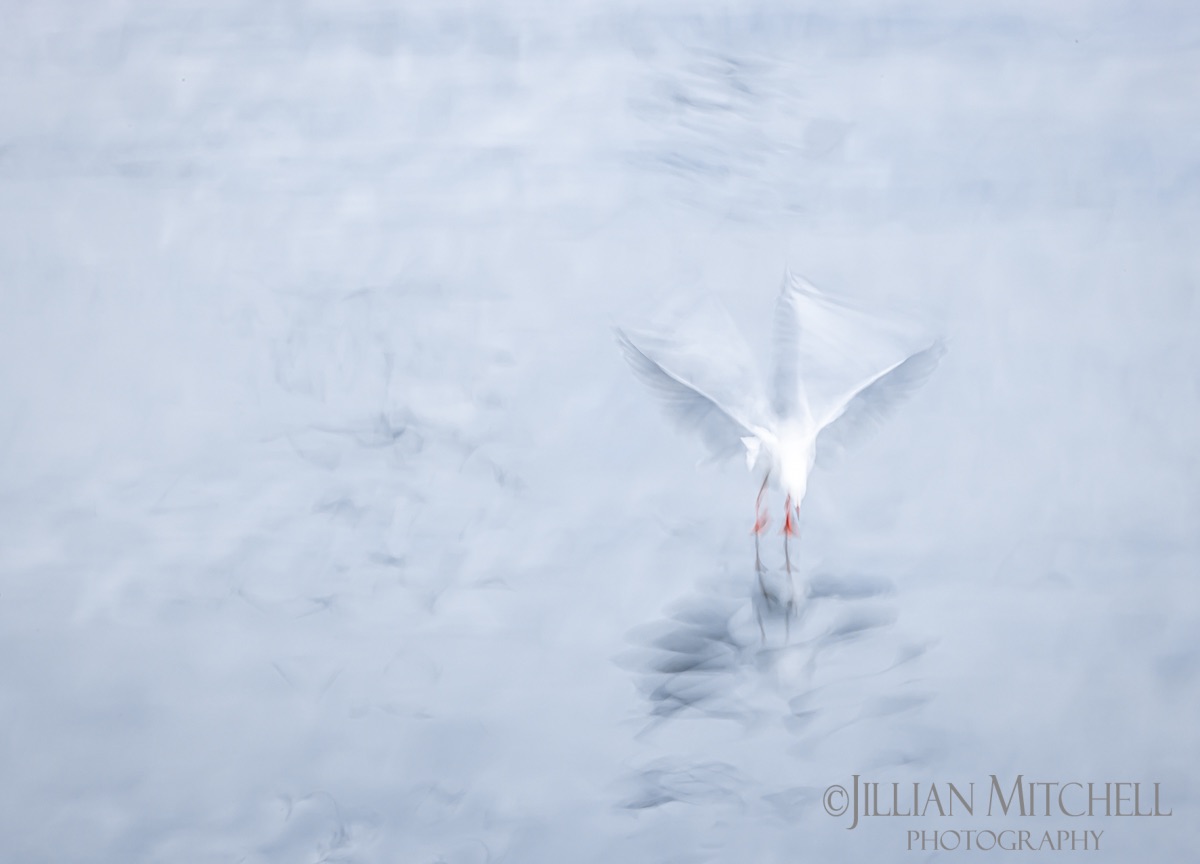 What is Intentional Camera Movement?