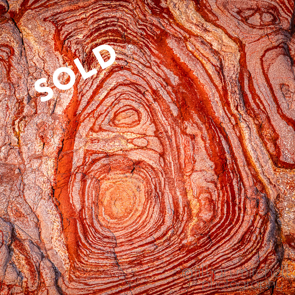 Close up of natural concentric Liesegang rings in a cliff face at Surf Beach on Phillip Island showing layered circular patterns of deep red iron oxide and cream-coloured weathered stone.